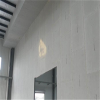 新洲宁波ALC板|EPS加气板隔墙与混凝土整浇联接的实验研讨